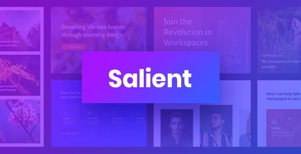 SALIENT – RESPONSIVE MULTI-PURPOSE THEME